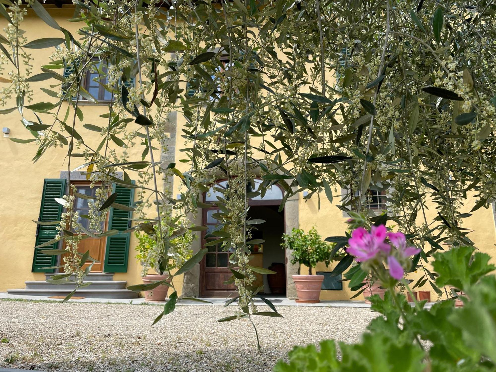 Villa Rigacci Reggello Exterior photo
